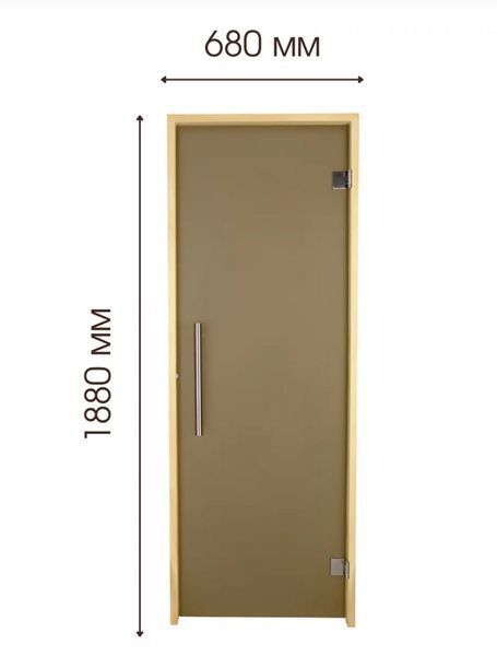 Двері для лазні та сауни Tesli Steel Sateen 1900х700