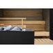 Дров'яна піч Harvia Linear 22 RS GreenFlame&reg; (з вбудованим баком для води праворуч) WKLI22GRSM-WKLI20GRSM фото 2