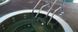 SPA pool Aquavia Spa Oasis 40 Hot Tub (Spain), 250 &times; 250 &times; 50 cm
